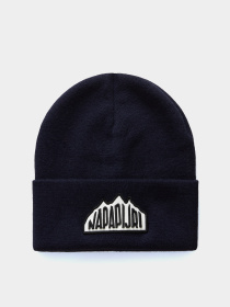 Шапка Napapijri F-Mountain 2 модель NP0A4HXL1761 Фото