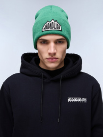 Шапка Napapijri F-Mountain 2 модель NP0A4HXLG1T1 Фото