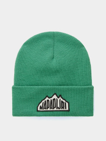 Шапка Napapijri F-Mountain 2 модель NP0A4HXLG1T1 Фото