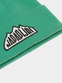 Шапка Napapijri F-Mountain 2 модель NP0A4HXLG1T1 Фото