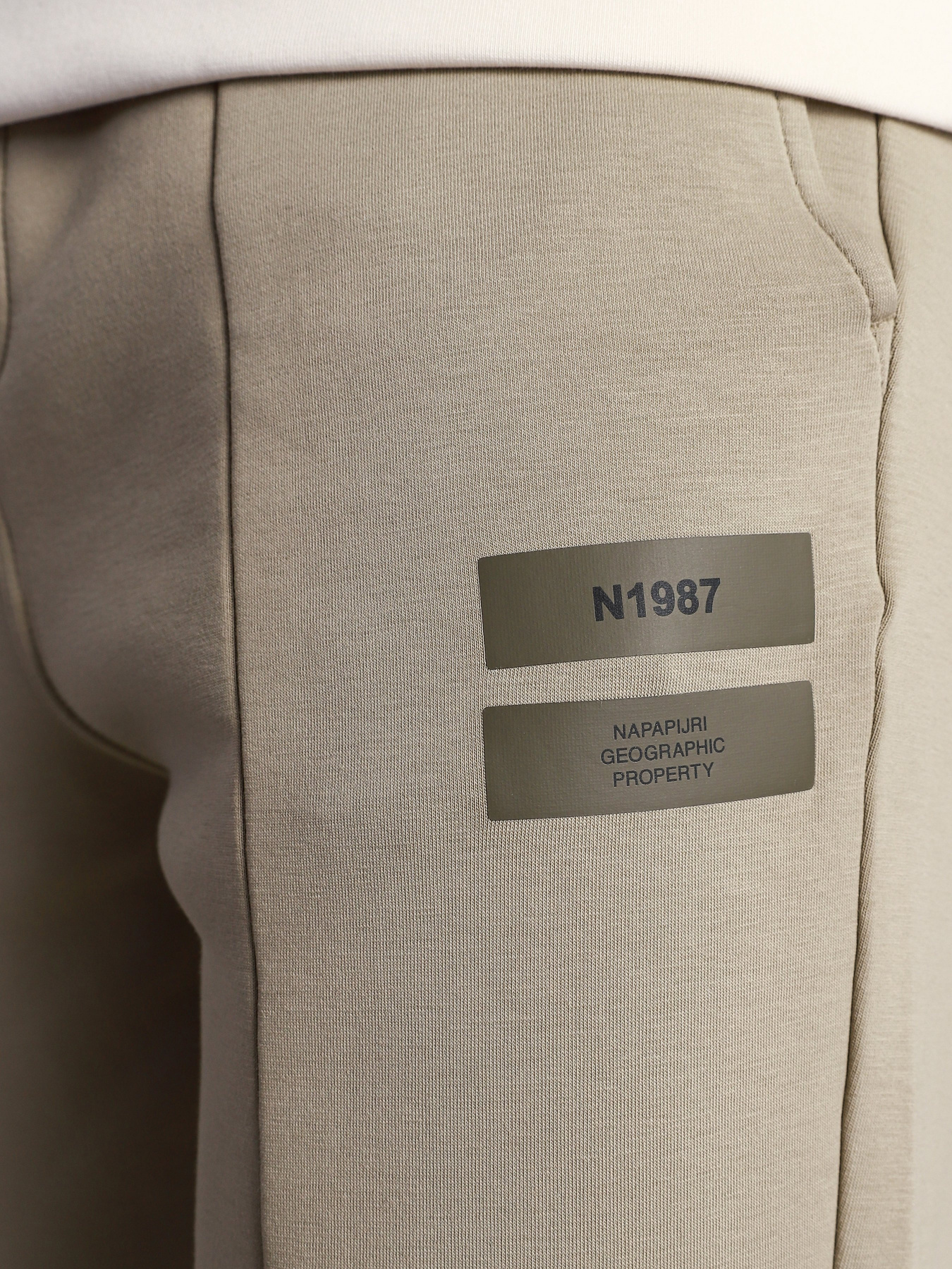 Брюки повседневные Napapijri M-OAHU модель NP0A4F3GG5L1 Фото