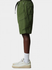 Шорты Napapijri N-HONOLULU модель NP0A4F3IG2C1 Фото