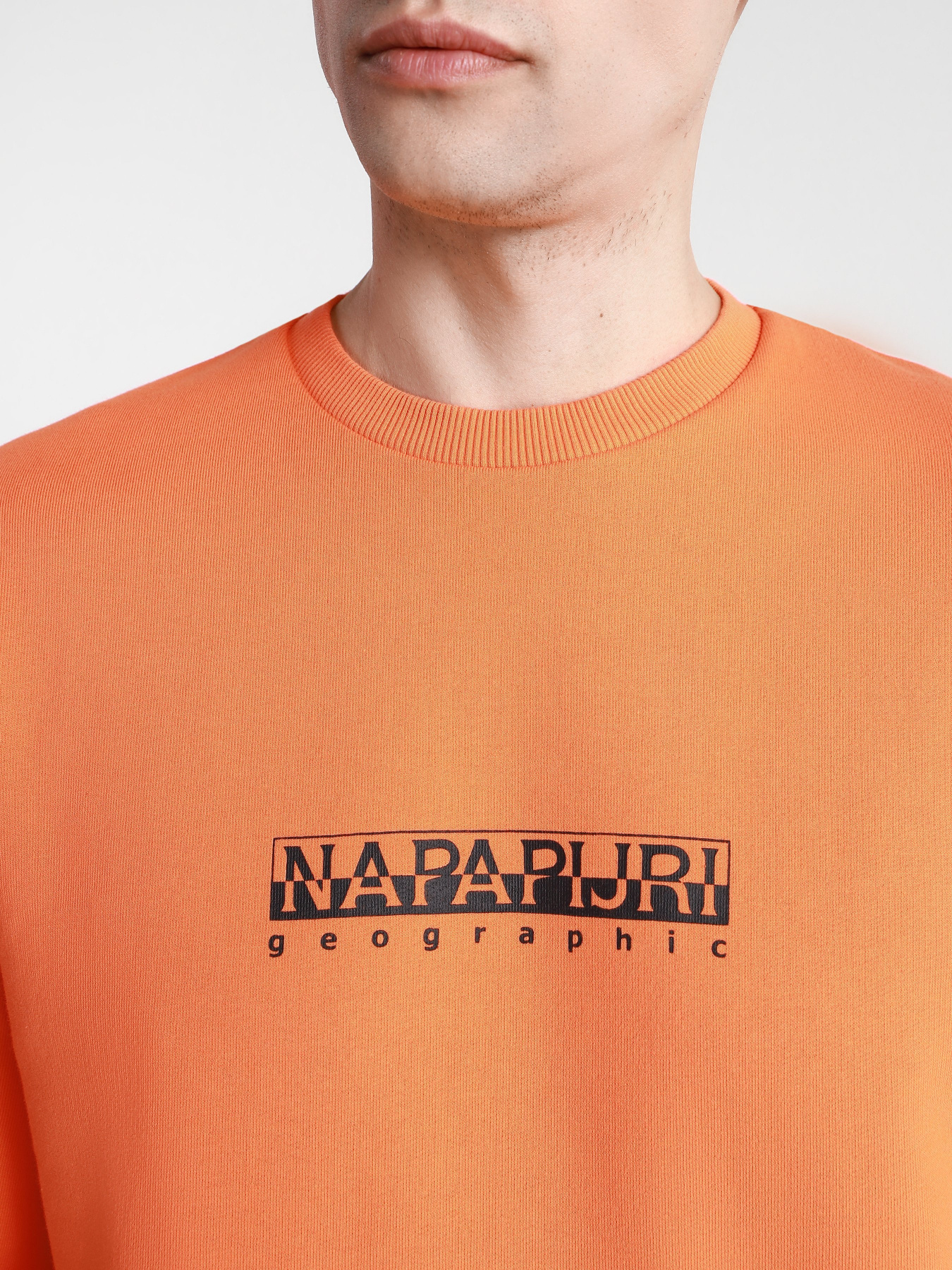 Свитшот Napapijri Sweatshirt Box модель NP0A4F5AA1A1 Фото
