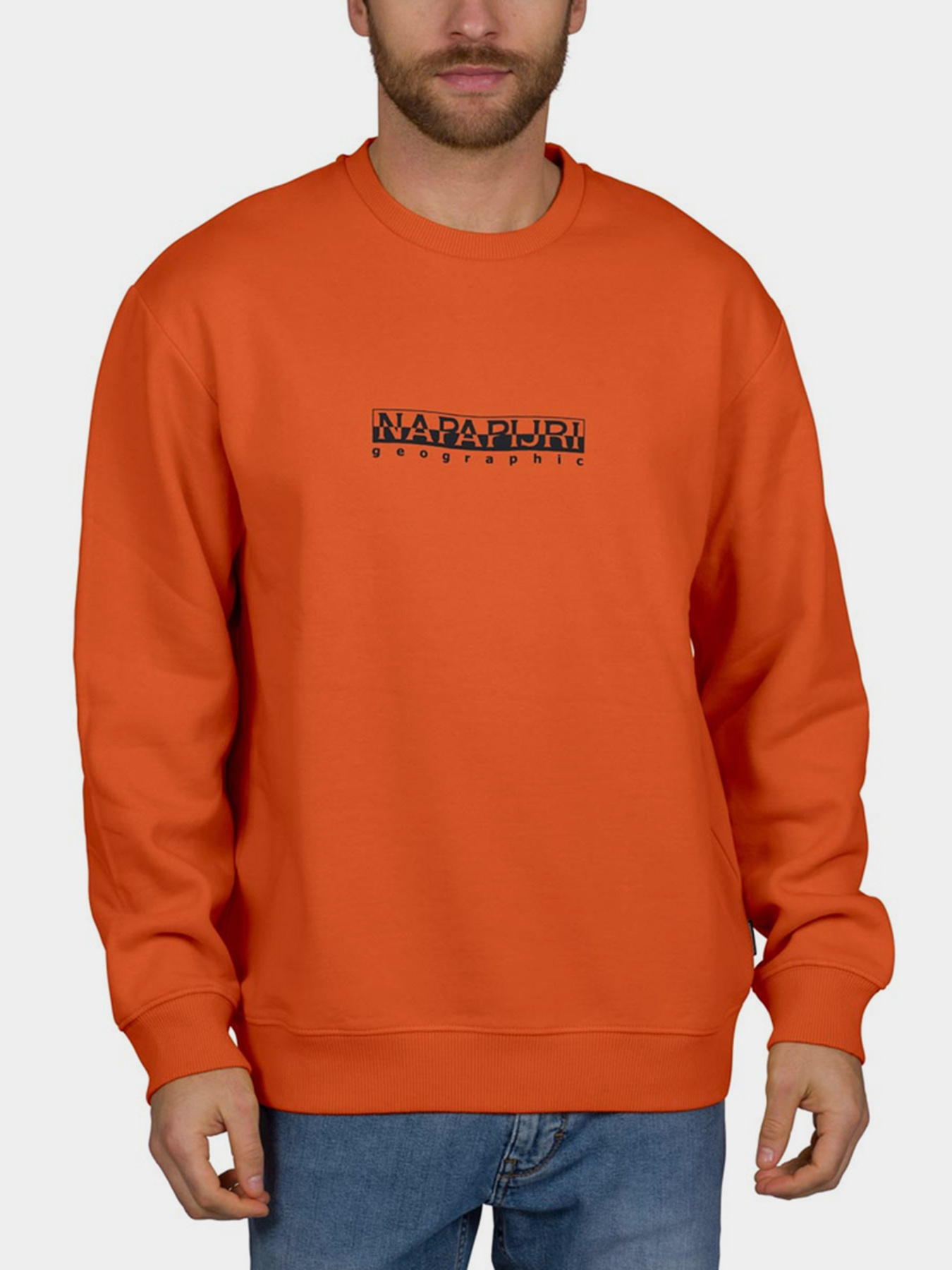 Свитшот Napapijri Sweatshirt Box модель NP0A4F5AA1A1 Фото