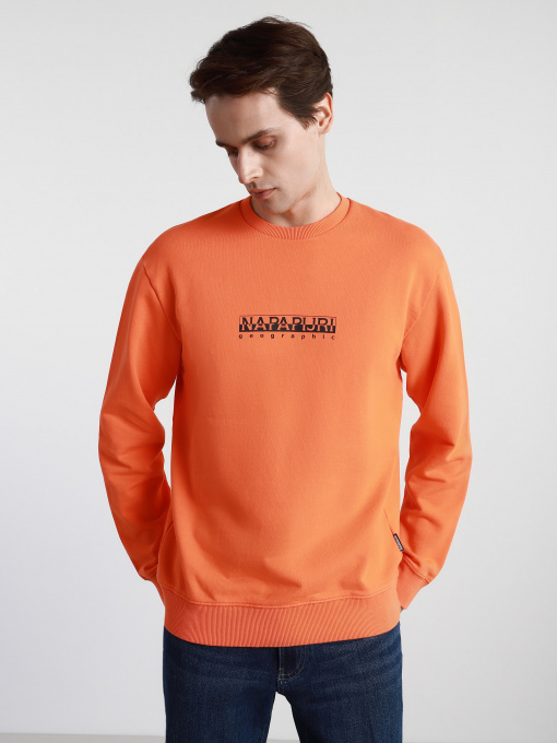 Свитшот Napapijri Sweatshirt Box модель NP0A4F5AA1A1 Фото