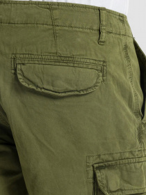 Шорты Napapijri Nostran модель NP0A4F5UG2C1 Фото