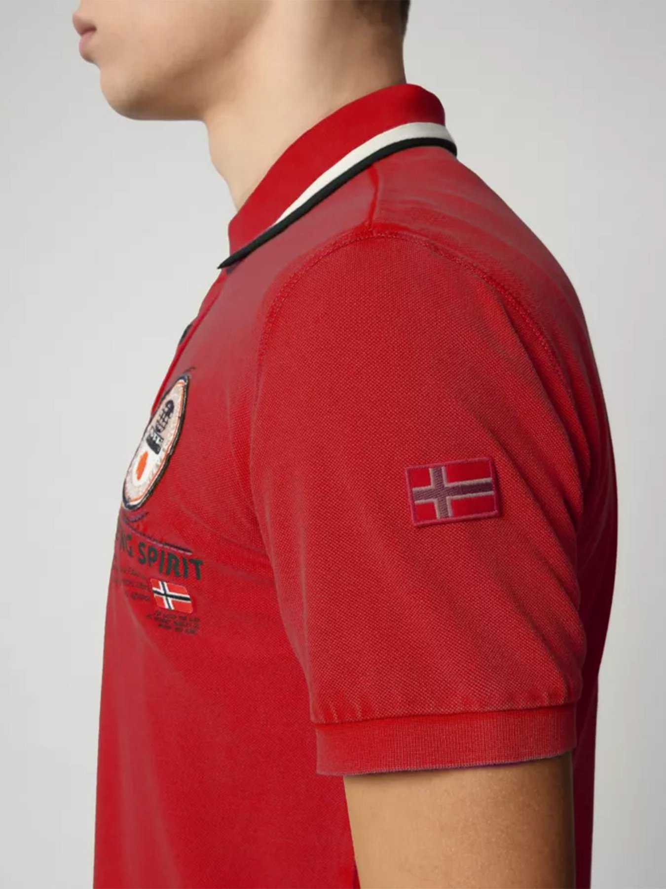 Поло Napapijri Gandy модель NP0A4F6D0941 Фото