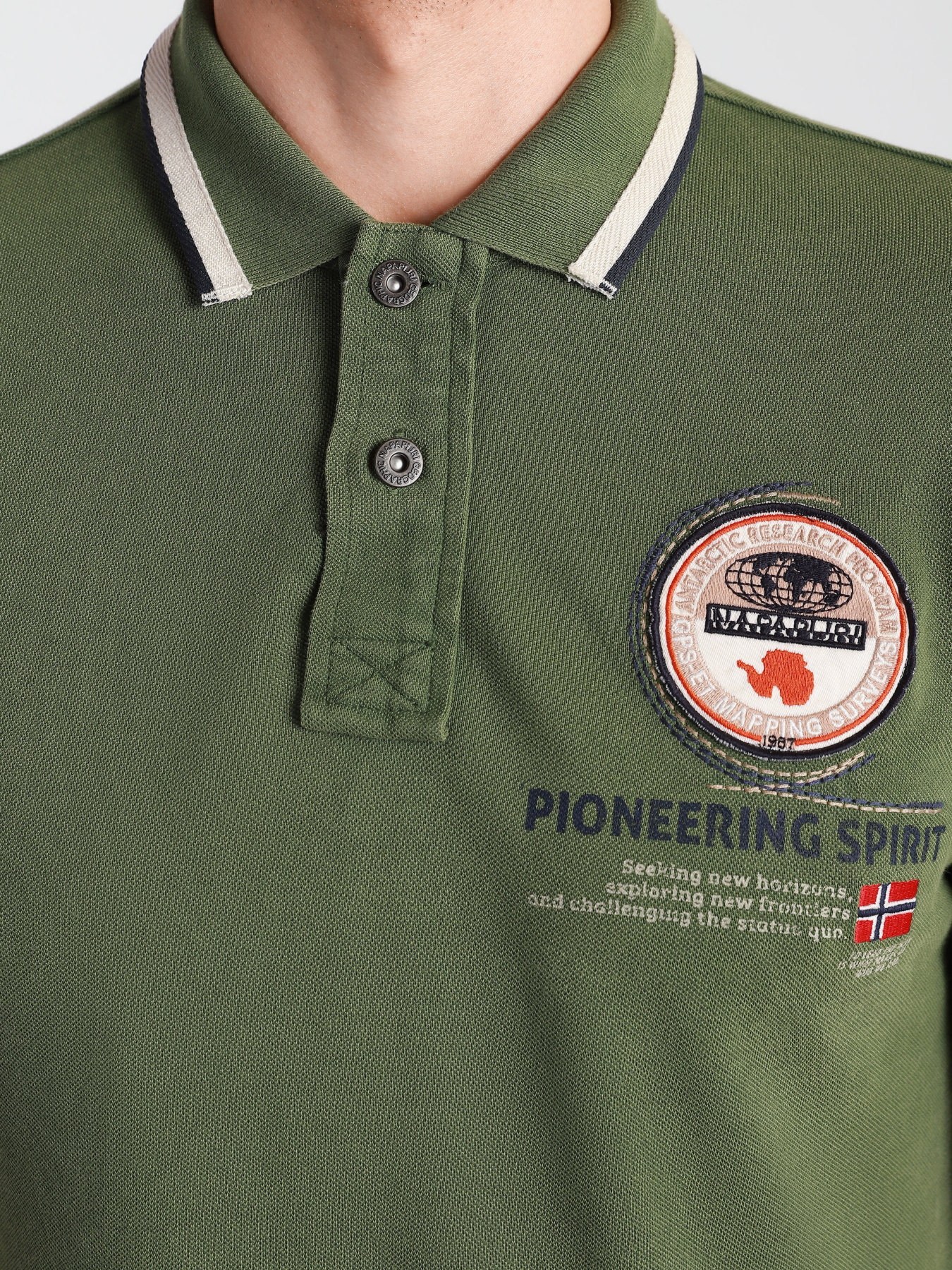 Поло Napapijri Gandy модель NP0A4F6DG2C1 Фото