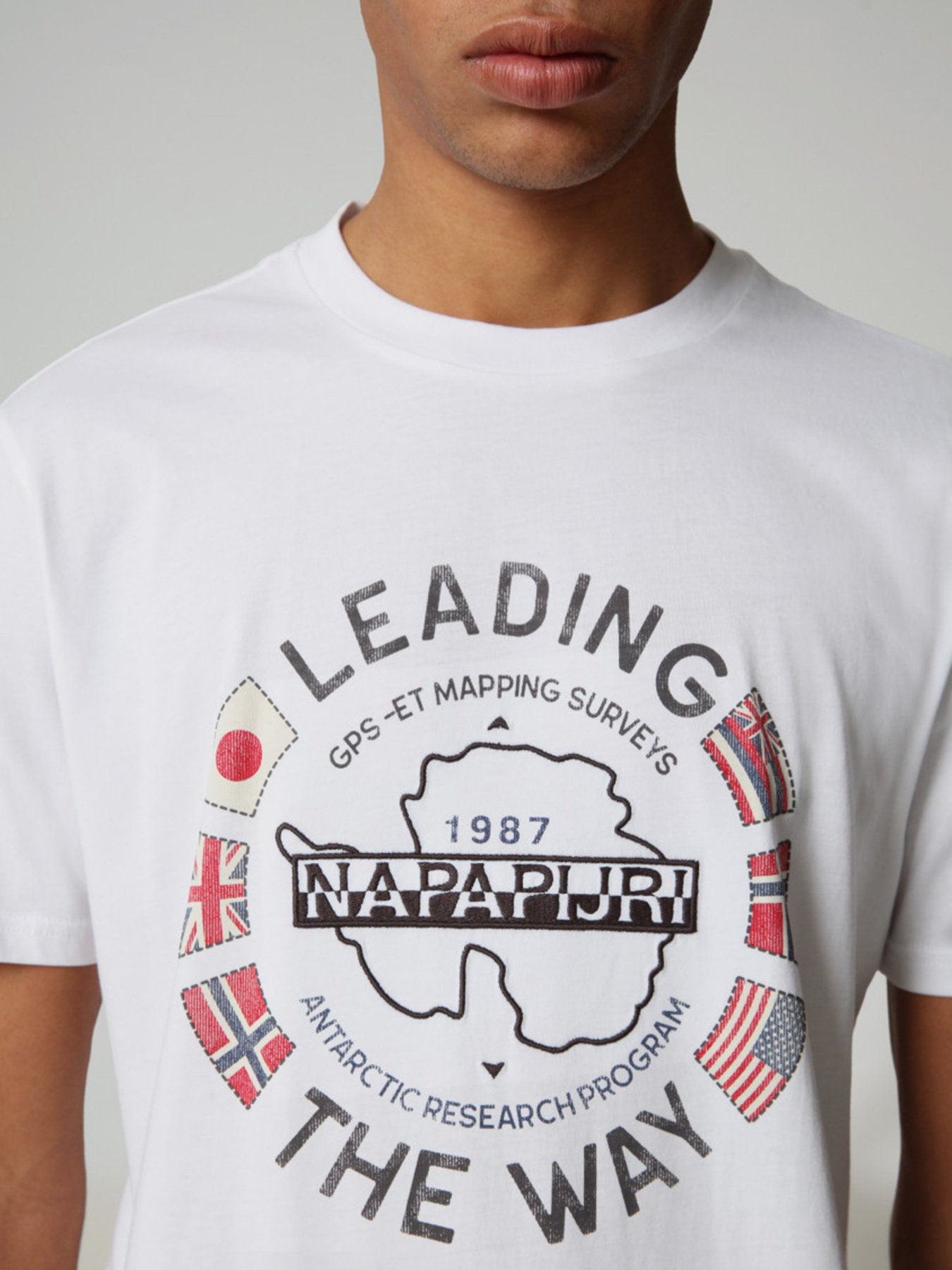 Футболки і поло Napapijri Salya модель NP0A4F6P0021 Фото