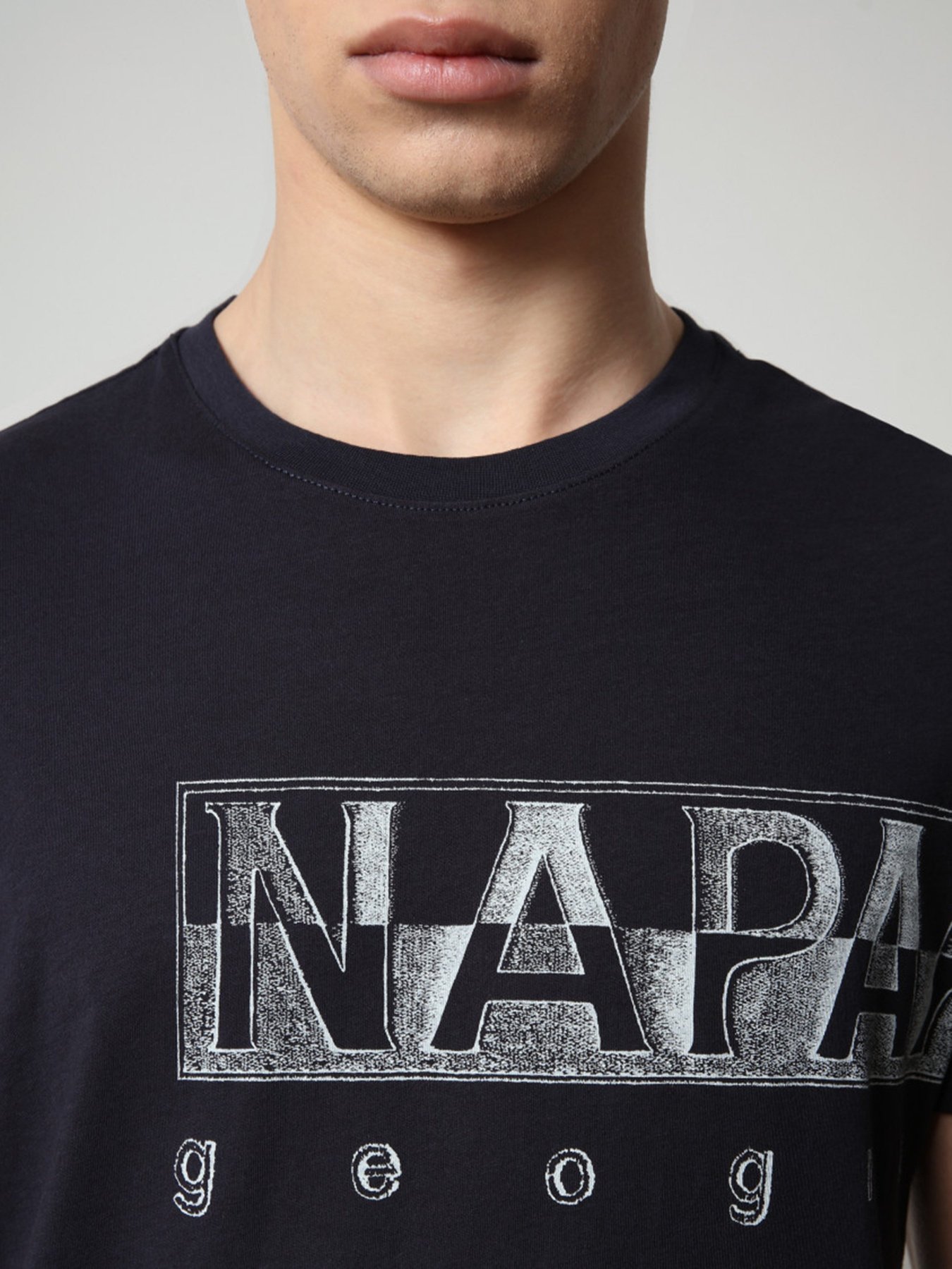 Футболки и поло Napapijri Sallar модель NP0A4F9N1761 Фото