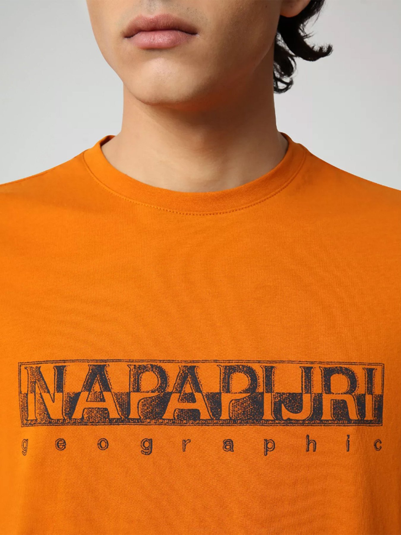 Футболки и поло Napapijri Sallar модель NP0A4F9OA581 Фото