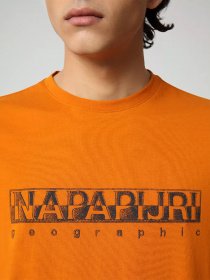 Футболки і поло Napapijri Sallar модель NP0A4F9OA581 Фото