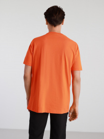 Футболки и поло Napapijri Box модель NP0A4FF5A1A1 Фото