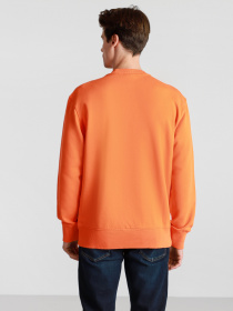 Світшот Napapijri Sweatshirt Patch модель NP0A4FF7A1A1 Фото