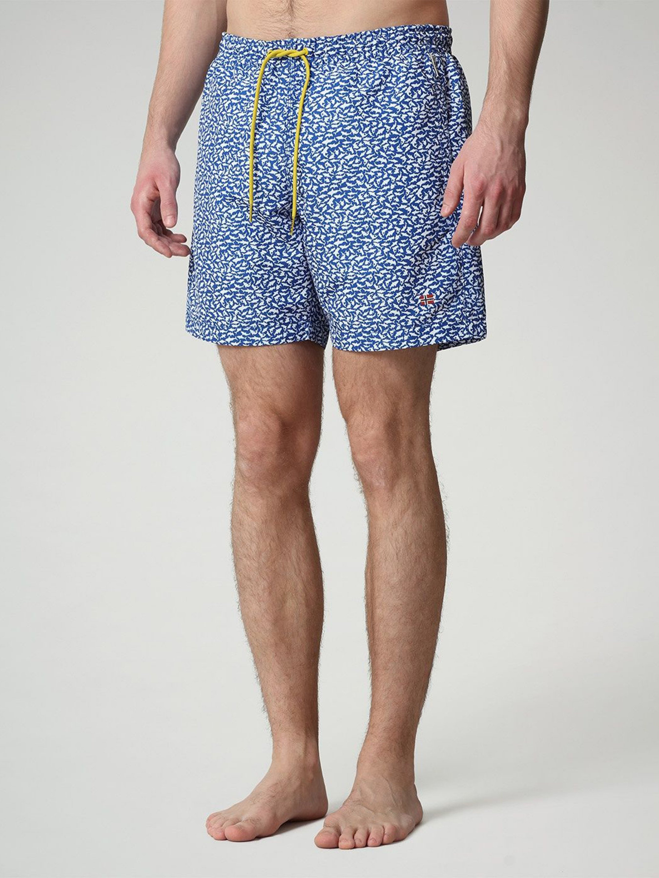 Шорты для плавания Napapijri Vail модель NP0A4F7KF3E1 Шорты для плавания Napapijri Vail модель NP0A4F7KF3E1 Фото