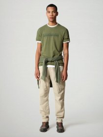 Футболки и поло Napapijri Serial модель NP0A4FGQG2C1 Фото