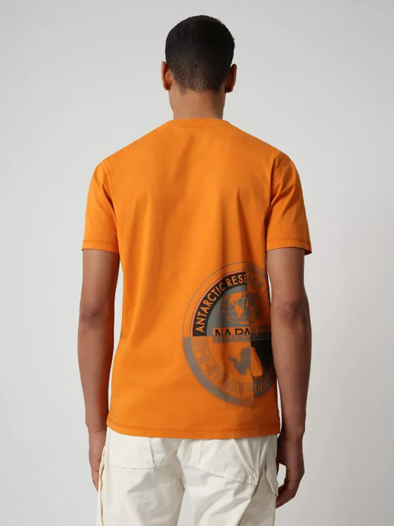 Футболки и поло Napapijri Seob модель NP0A4F6KA581 Фото