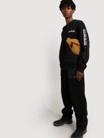 Свитшот Napapijri Roen модель NP0A4FQJ0411 Фото