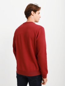 Свитшот Napapijri Badas модель NP0A4FQNR541 Фото