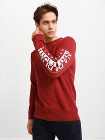 Свитшот Napapijri Badas модель NP0A4FQNR541 Свитшот Napapijri Badas модель NP0A4FQNR541 Фото