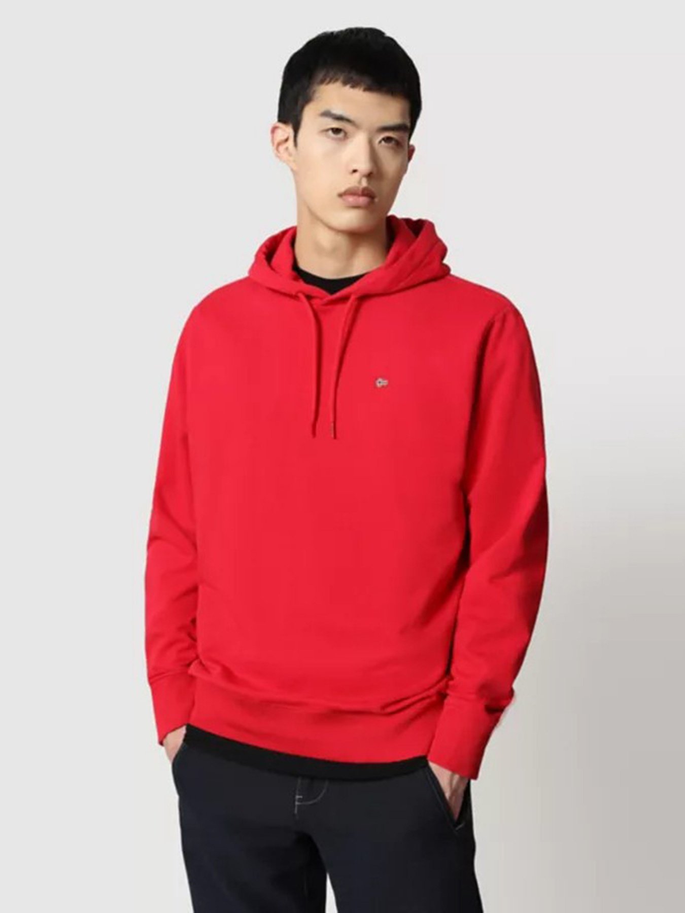 Худі Napapijri BALIS HOOD модель NP0A4FQVR171 Фото