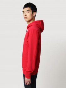 Худі Napapijri BALIS HOOD модель NP0A4FQVR171 Фото