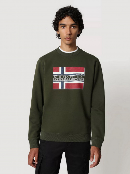 Свитшот Napapijri Bench модель NP0A4FQZGE41 Фото