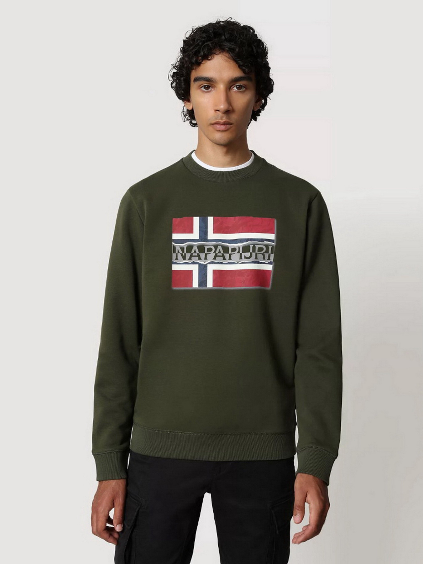 Свитшот Napapijri Bench модель NP0A4FQZGE41 Свитшот Napapijri Bench модель NP0A4FQZGE41 Фото