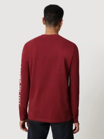 Лонгслив Napapijri Sadas модель NP0A4FRGR541 Фото