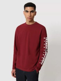 Лонгслив Napapijri Sadas модель NP0A4FRGR541 Фото