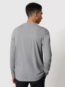 Реглан Napapijri Sench модель NP0A4FRQ1601 Фото