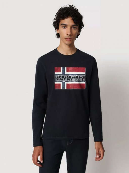 Реглан Napapijri Sench модель NP0A4FRQ1761 Фото