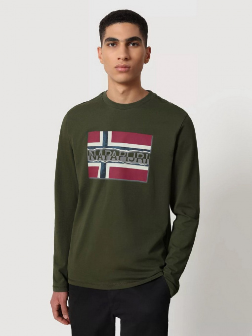 Реглан Napapijri Sench модель NP0A4FRQGE41 Фото