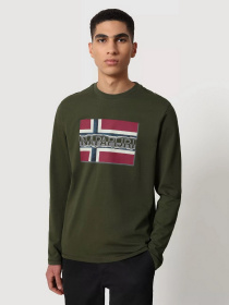 Реглан Napapijri Sench модель NP0A4FRQGE41 Фото