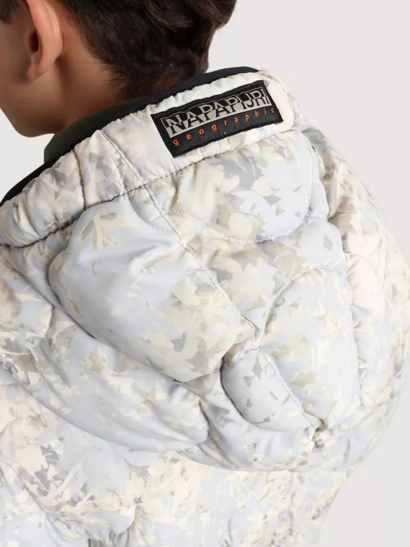 Демисезонная куртка Napapijri Mercury Print модель NP0A4FUGF6Q1 Фото