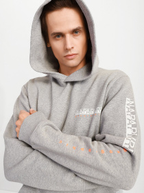 Худи Napapijri Roen модель NP0A4FUZ1601 Фото