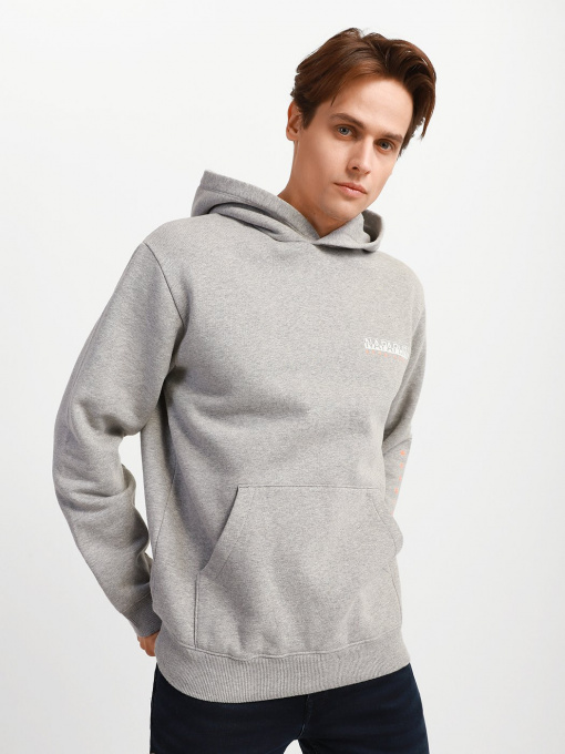 Худи Napapijri Roen модель NP0A4FUZ1601 Фото