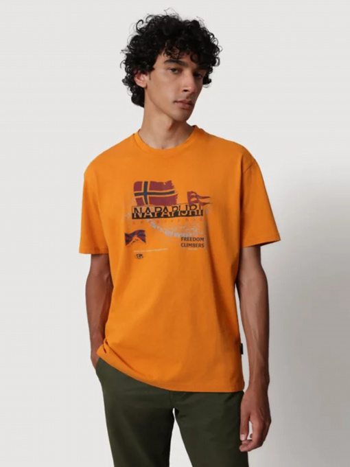 Футболки і поло Napapijri STARLIGHT модель NP0A4FVWY1Q1 Фото