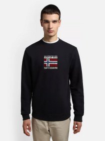 Свитшот Napapijri Verres модель NP0A4GB91761 Фото