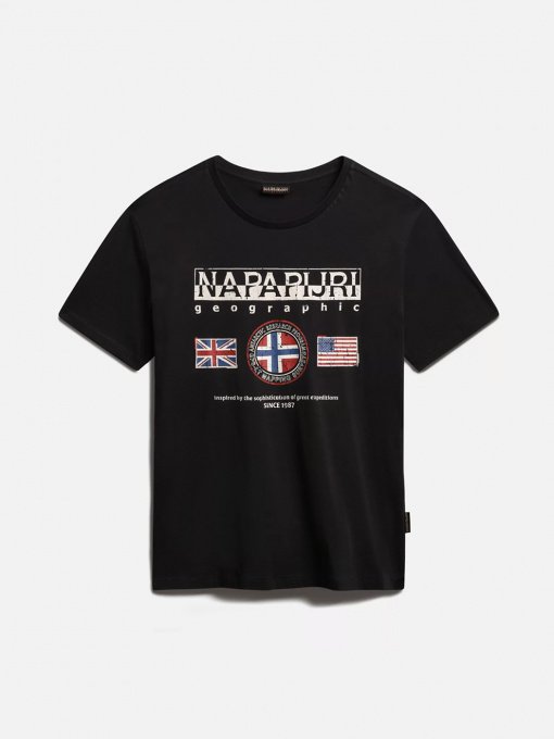 Футболки и поло Napapijri Turin модель NP0A4G340411 Фото