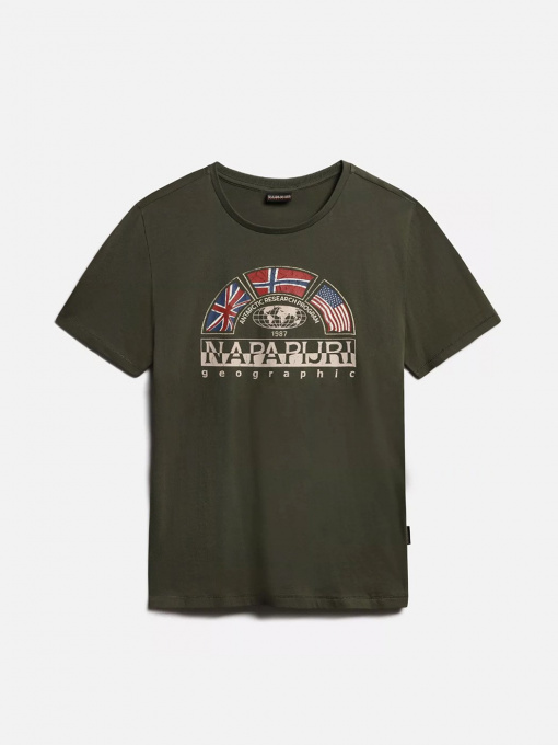 Футболки и поло Napapijri Turin модель NP0A4G34GE41 Фото