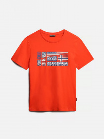 Футболки и поло Napapijri Turin модель NP0A4G34R1A1 Фото