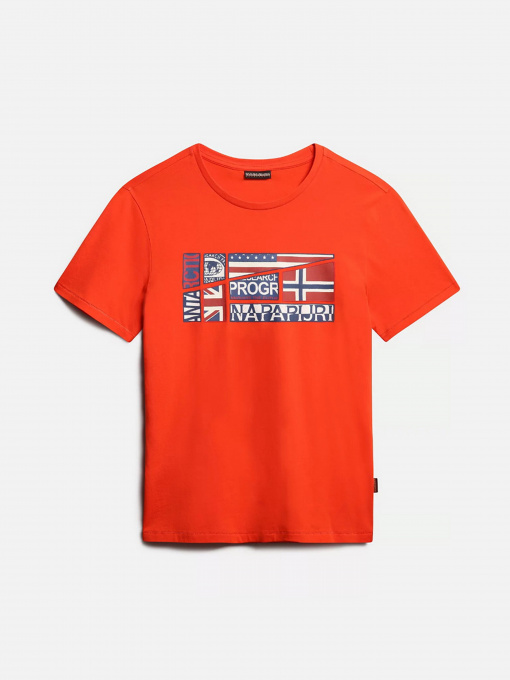 Футболки і поло Napapijri Turin модель NP0A4G34R1A1 Фото