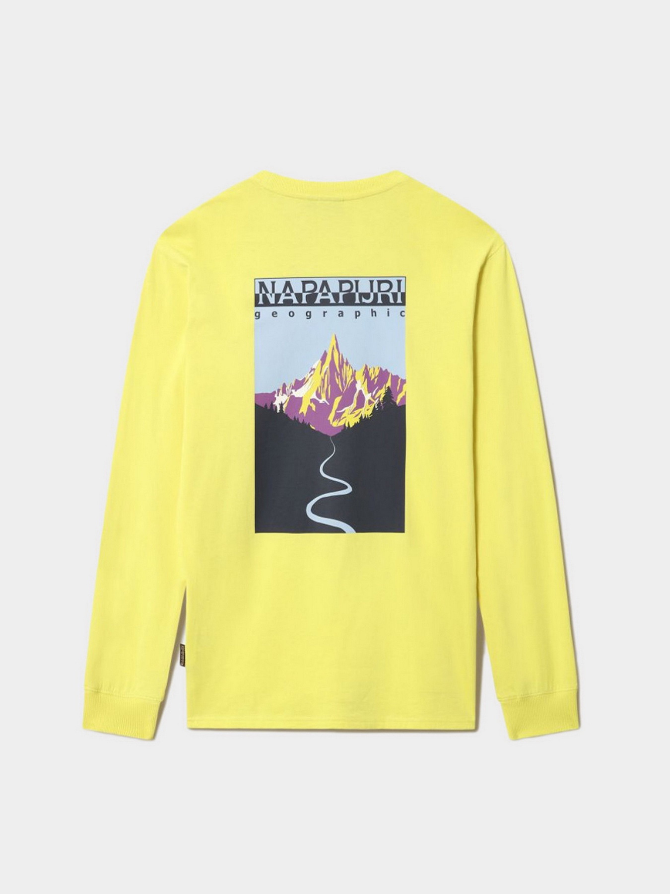 Футболки и поло Napapijri Quintino модель NP0A4G6DY1E1 Фото