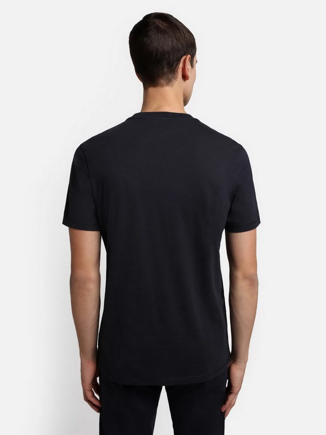 Футболка Napapijri Verres модель NP0A4GBR1761 Фото