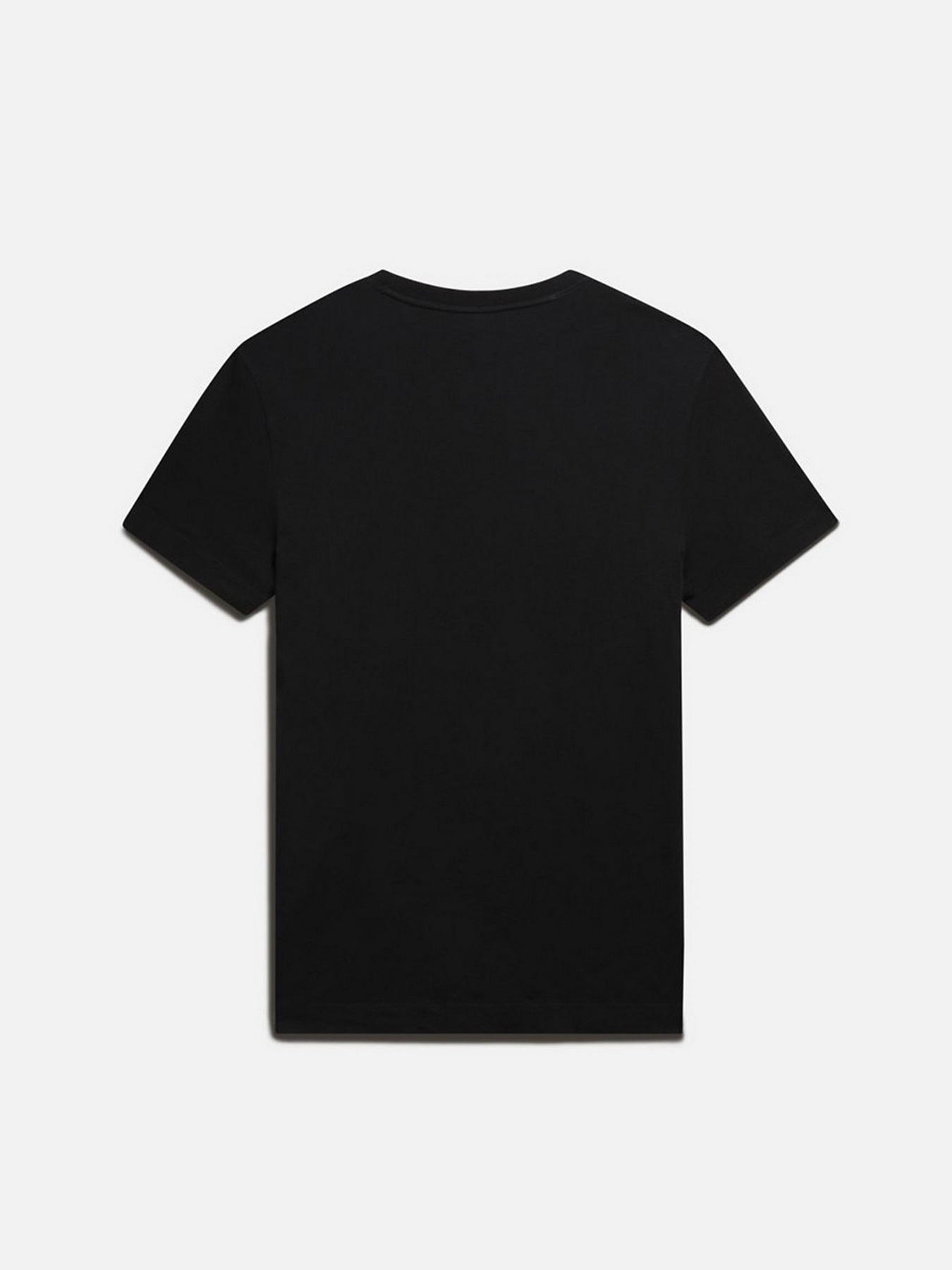 Футболки и поло Napapijri Ayas модель NP0A4GDQ0411 Фото