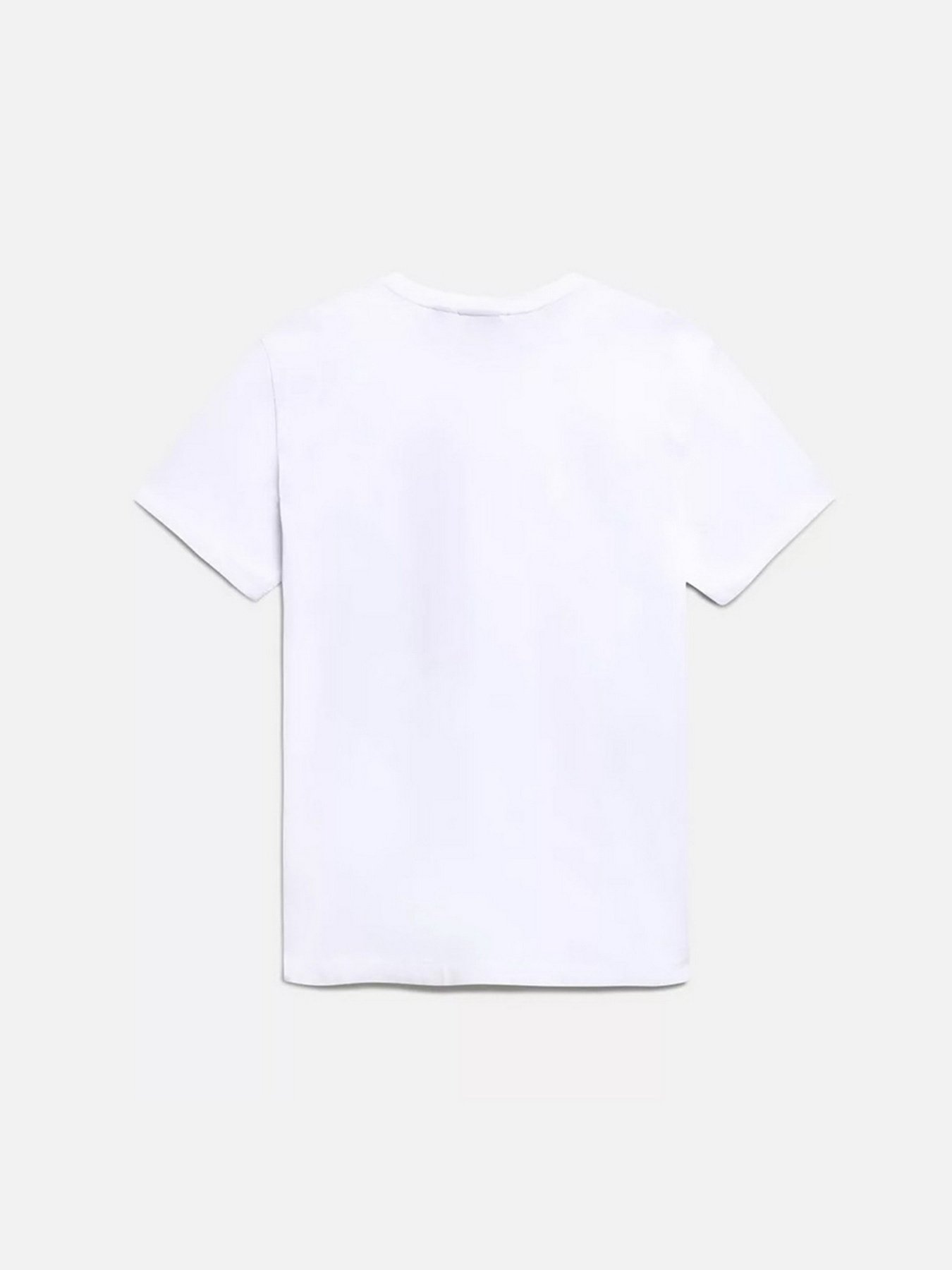 Футболки і поло Napapijri Box модель NP0A4GDR0021 Фото