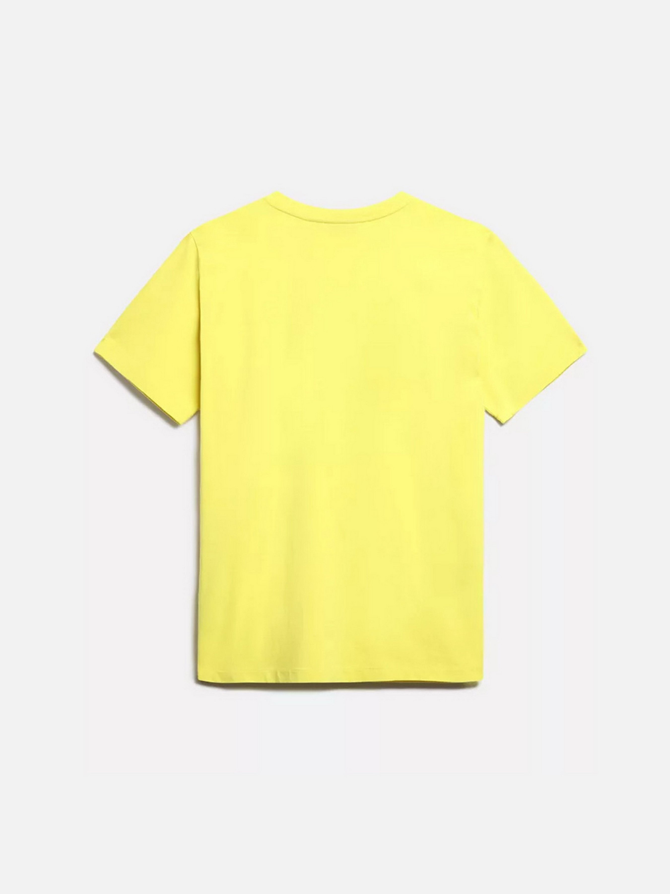 Футболки и поло Napapijri Box модель NP0A4GDRY1E1 Фото