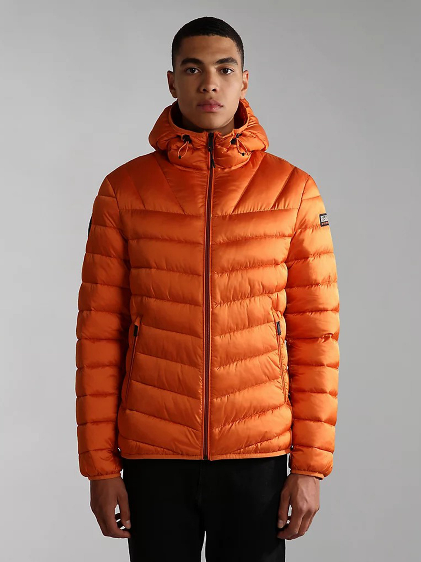 Демисезонная куртка Napapijri Aerons модель NP0A4GJOAA31 Демисезонная куртка Napapijri Aerons модель NP0A4GJOAA31 Фото