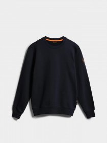 Свитшот Napapijri Cascade модель NP0A4GOY1761 Фото